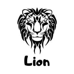 odkaz na stránku taneční kroužek Lion